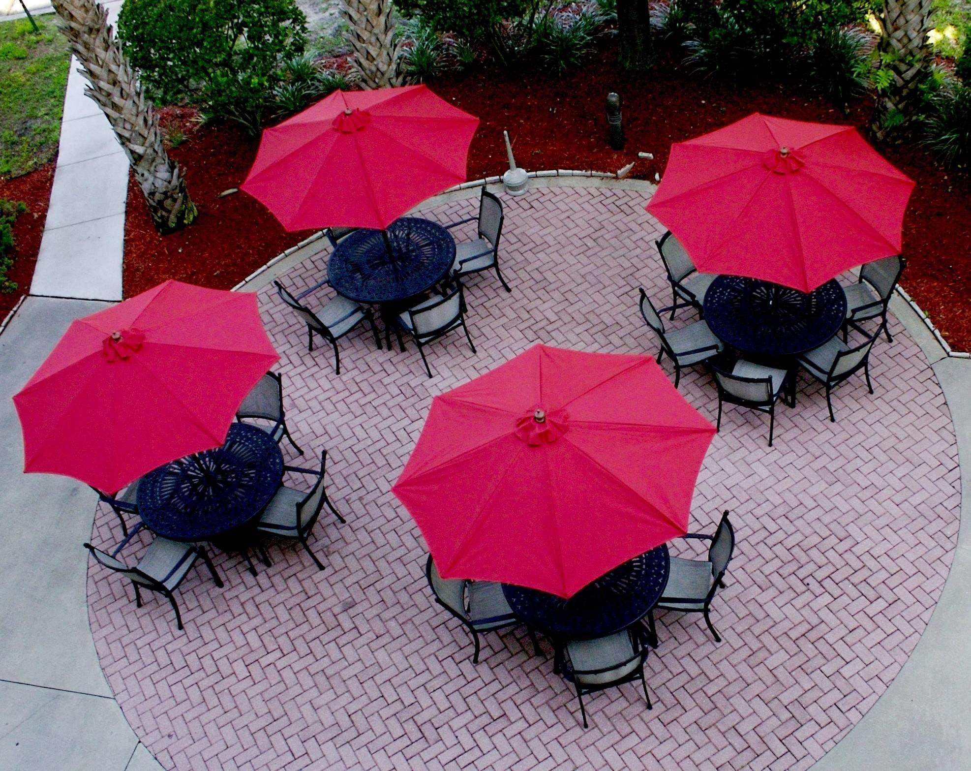 Hilton Garden Inn Tampa North Temple Terrace Ресторан фото