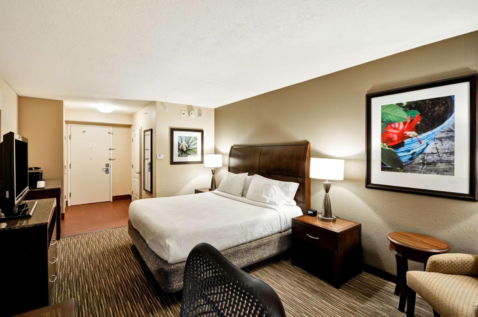 Hilton Garden Inn Tampa North Temple Terrace Екстер'єр фото